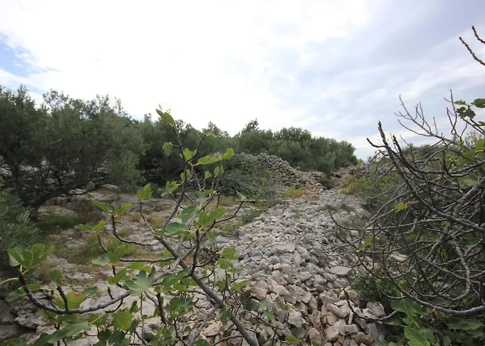 Vakantiehuis Secluded Fisherman's Cove Ladjin - Landjin, Pasman - 8500 *